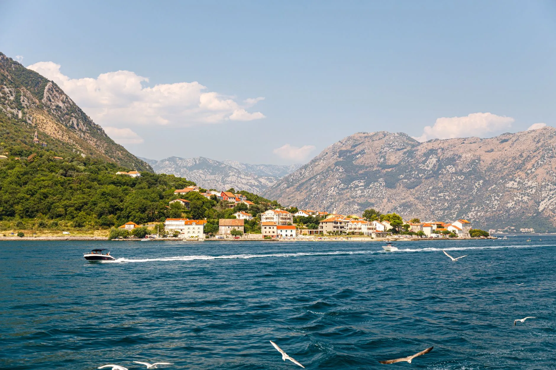Famille face aux Bouches de Kotor lors d'un voyage de six jours au Monténégro